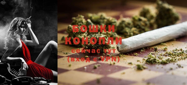 spice Елабуга